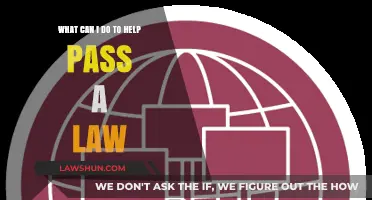 How to Help Pass a Law
