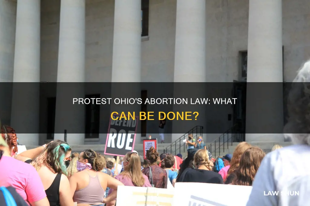 what can i do to protest ohio abortion law