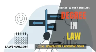 Exploring Career Options with a Bachelor's in Law