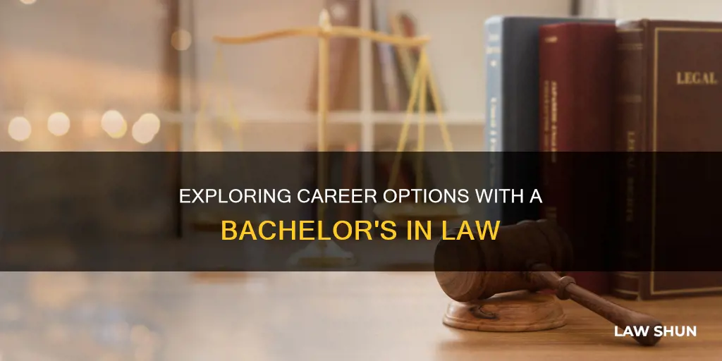 what can i do with a bachelor