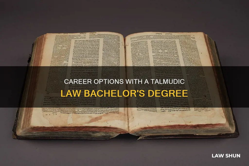 what can i do with a bachelors in talmudic law