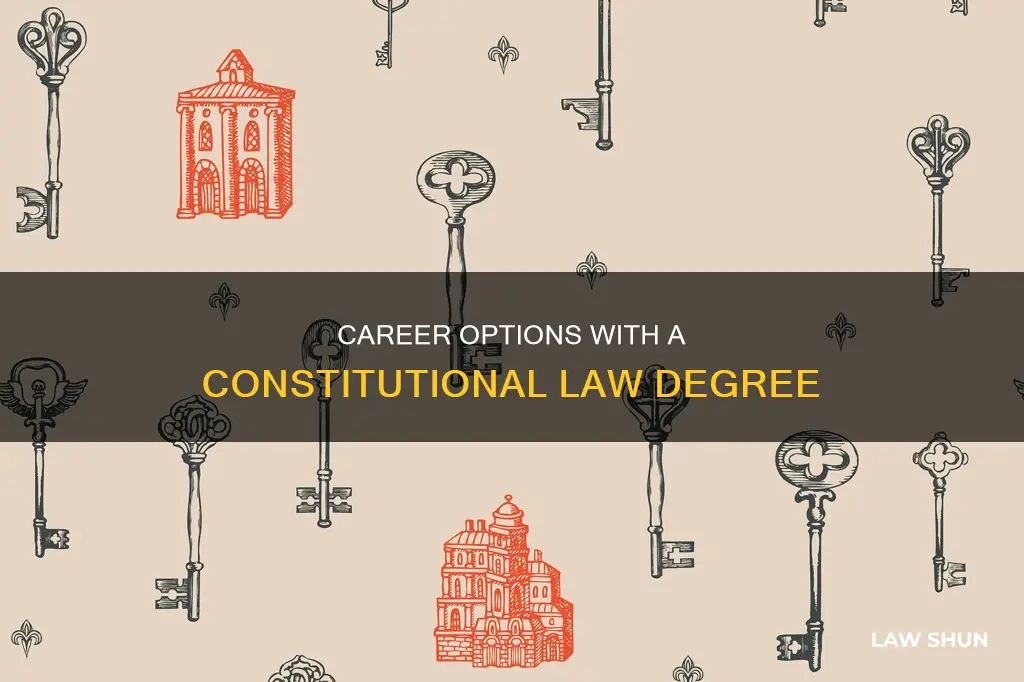 what can i do with a constitutional law degree