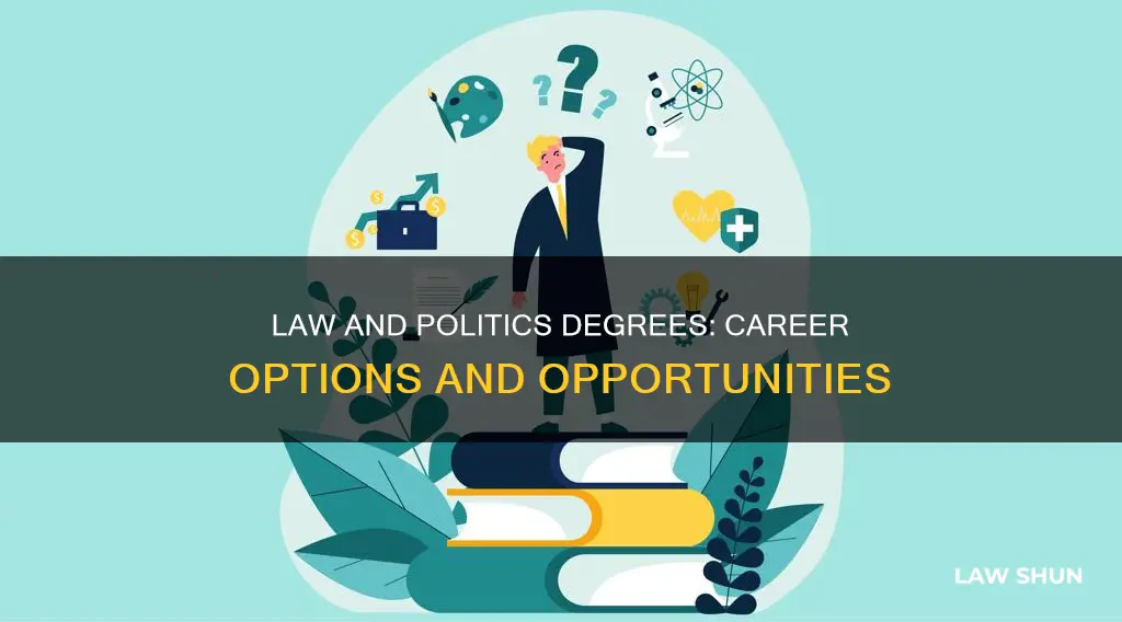 what can i do with a law and politics degree