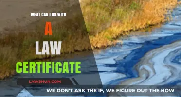 Law Certificate: Career Opportunities and Diverse Options
