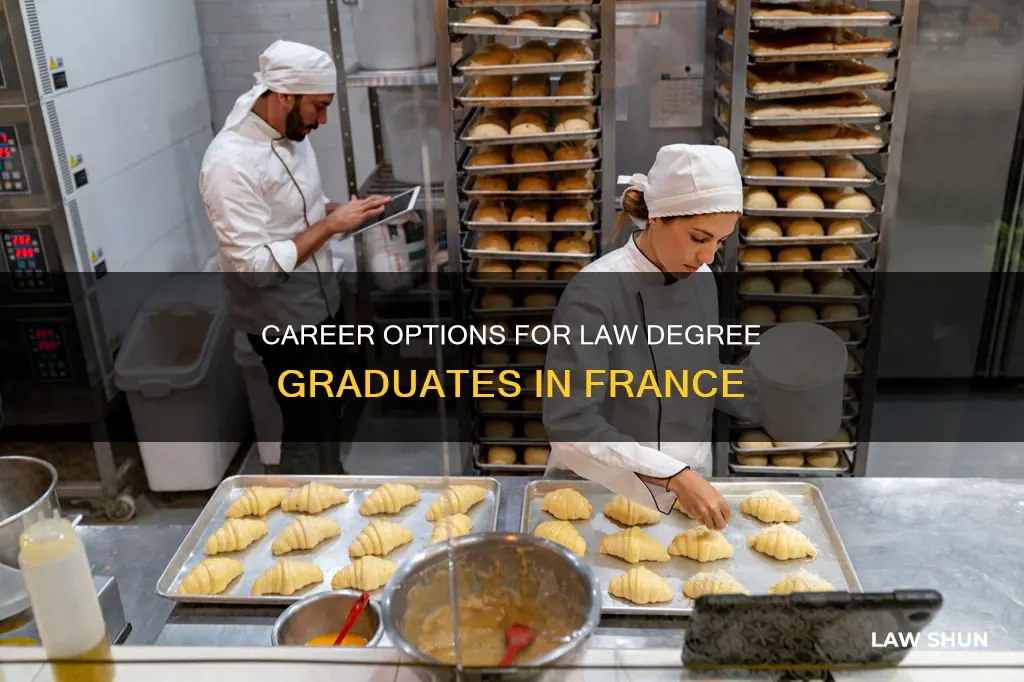 what can i do with a law degree in france