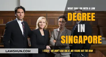 Career Options With a Law Degree in Singapore