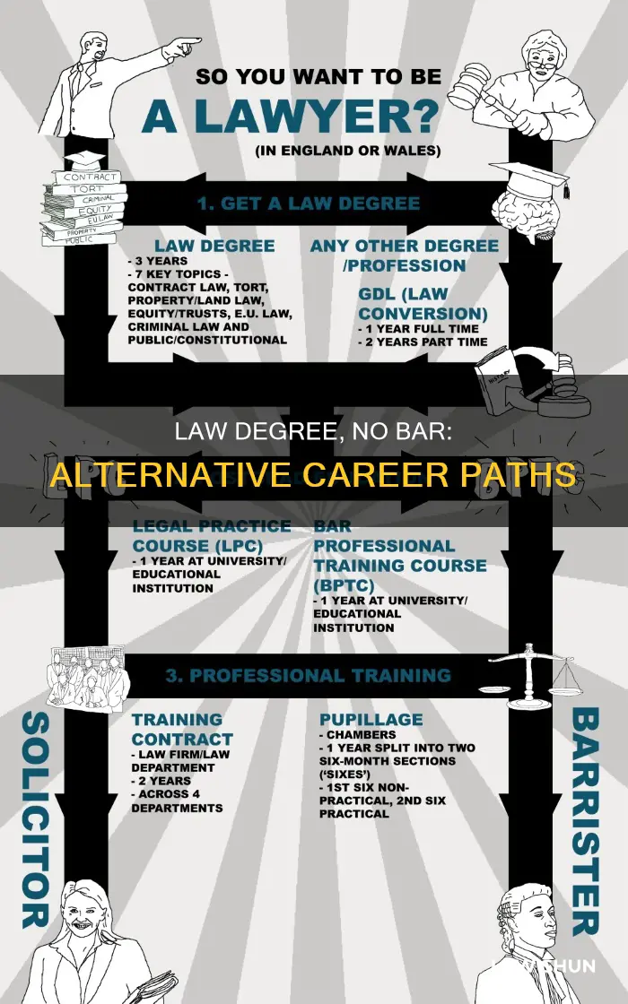 what can i do with a law degree no bar