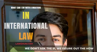 Career Options with a Masters in International Law