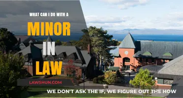 Law Minor: Career Options and Opportunities