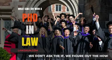 Career Options With a Law PhD