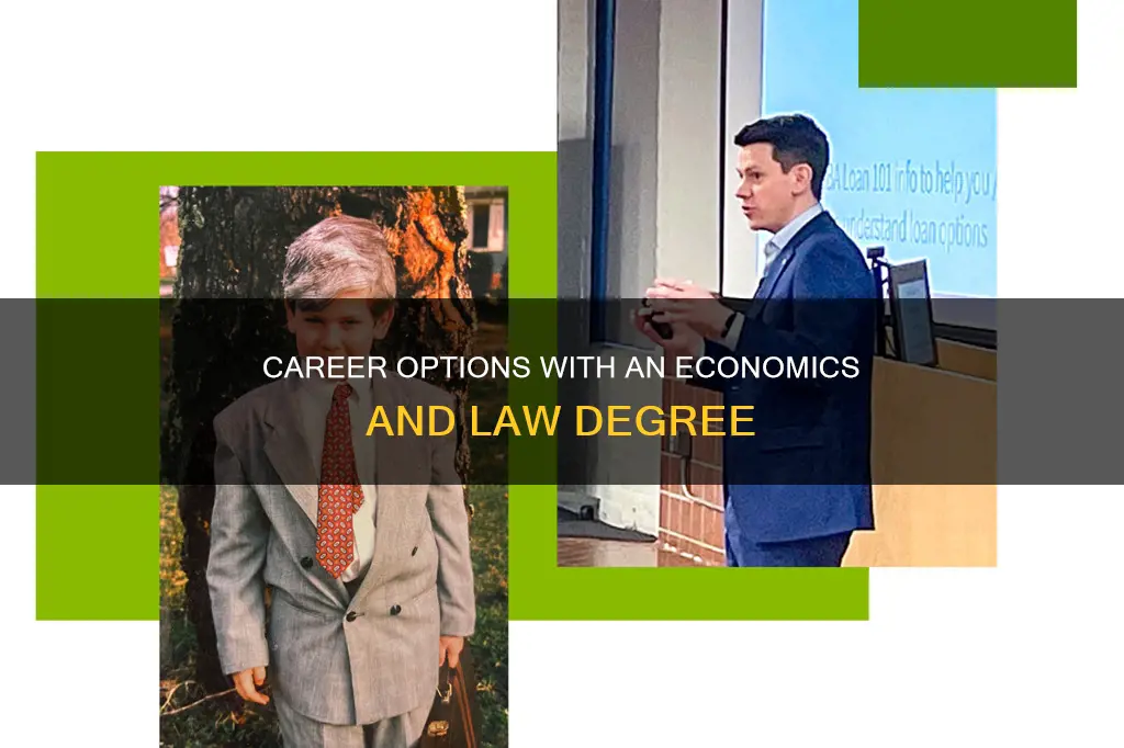 what can i do with an economics and law degree