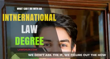 Career Options With an International Law Degree