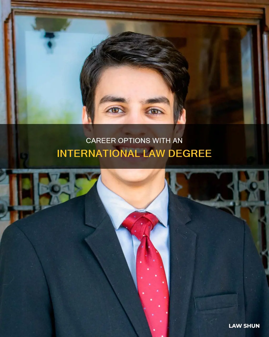 what can i do with an intnernational law degree