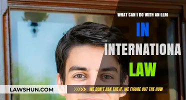 Career Options: International Law LLM