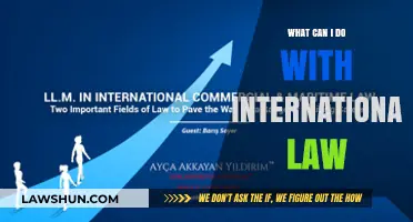 International Law: A World of Opportunities
