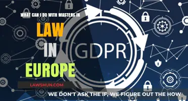 Exploring European Career Options with a Master's in Law