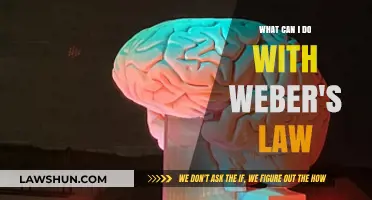 How Weber's Law Can Improve Your Life