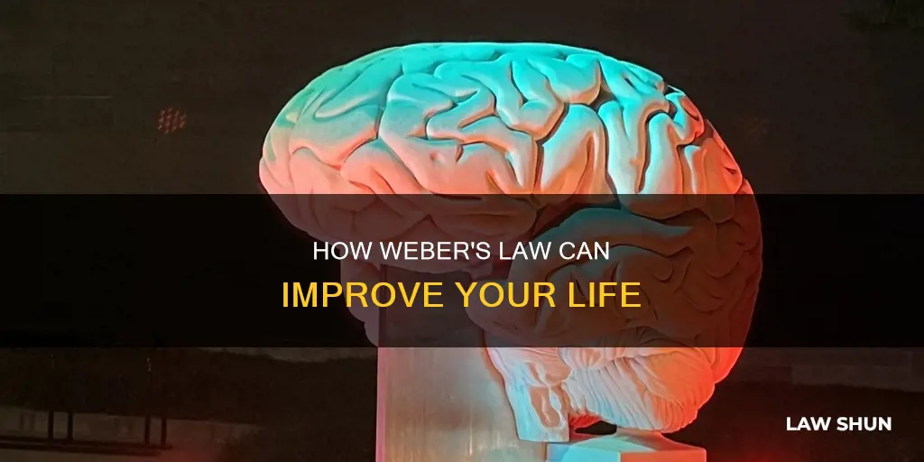 what can i do with weber