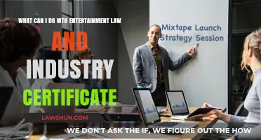 Entertainment Law Certificate: Career Opportunities