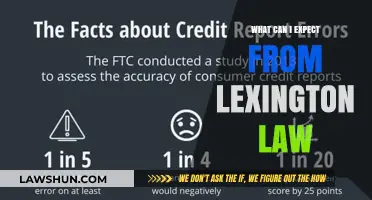 Lexington Law: What to Expect from Their Services