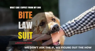 Dog Bite Lawsuits: What to Expect and When