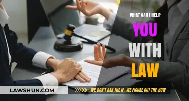 How Can I Help You With Law?