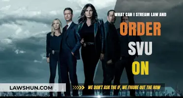 Stream Law & Order: SVU on Peacock, Hulu, and Netflix