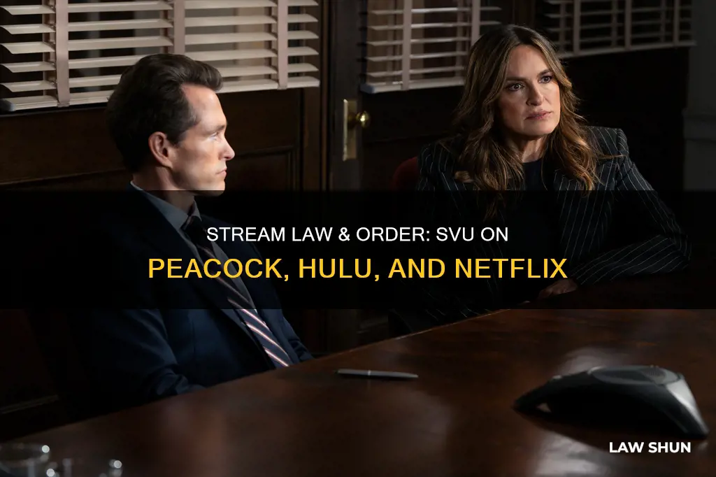 what can i stream law and order svu on
