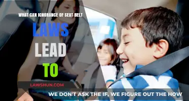 Seat Belt Laws: Ignorance Can Be Deadly
