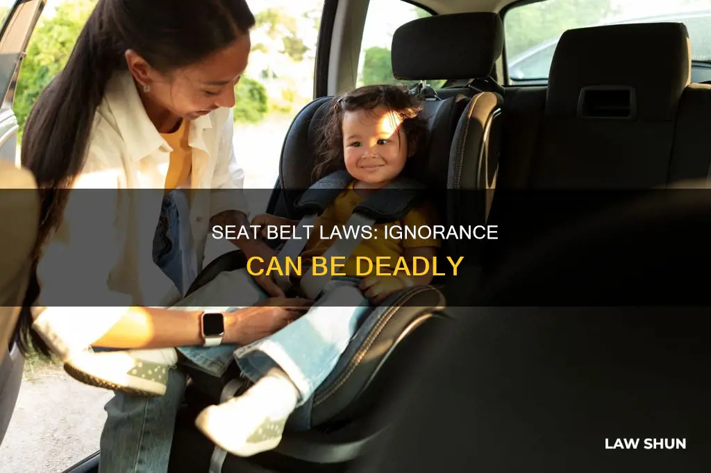 what can ignorance of seat belt laws lead to