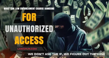 Unauthorized Access: Criminal Charges for Digital Trespassing