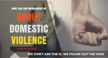 Eradicating Domestic Violence: Strategies for Law Enforcement