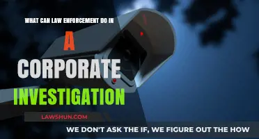 Law Enforcement's Role in Corporate Investigations