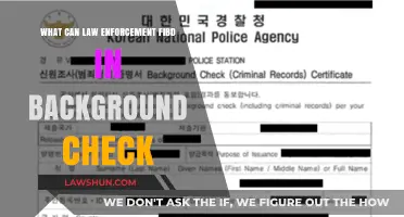 Background Checks: What Police Can Uncover