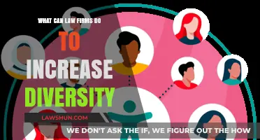 Diversity in Law: Strategies for an Inclusive Future