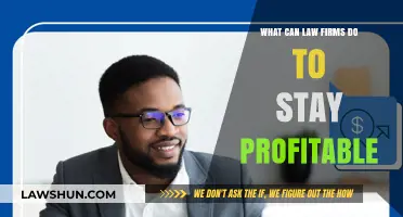 Law Firms: Strategies for Sustaining Profitability