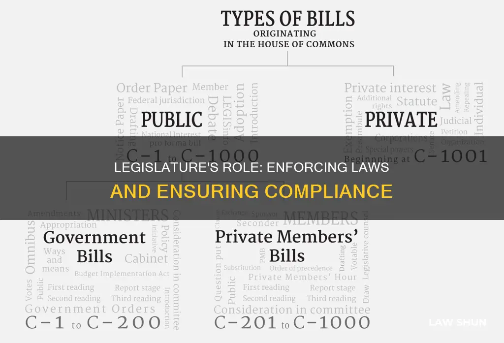 what can legislature do once something is signed into law