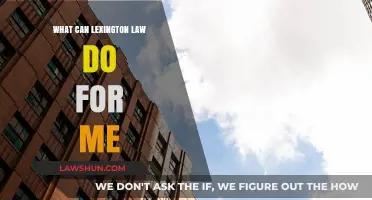 Lexington Law: How Can It Help You?
