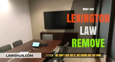 Lexington Law: Erasing Your Credit Worries
