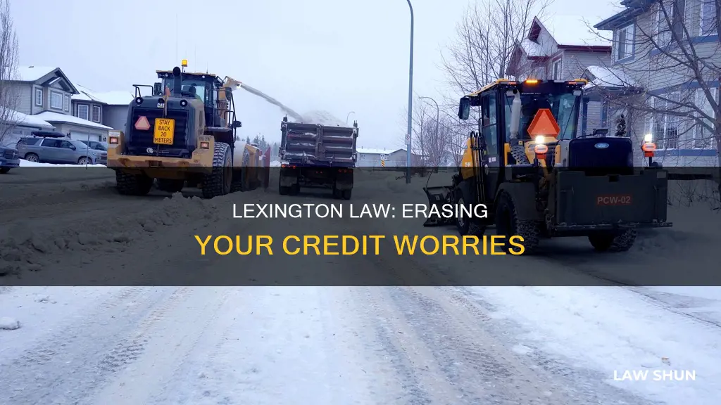what can lexington law remove