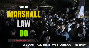 Martial Law: What Powers Does It Grant?