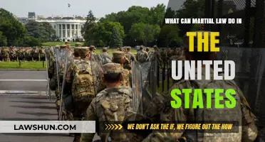 Martial Law: What Powers Does it Grant in the US?
