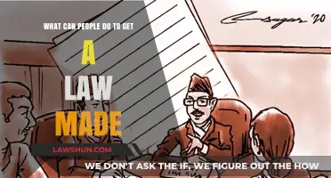 How to Make a Law: A Guide for Change-Makers