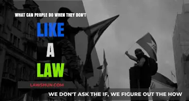 How to Act When You Disagree With a Law