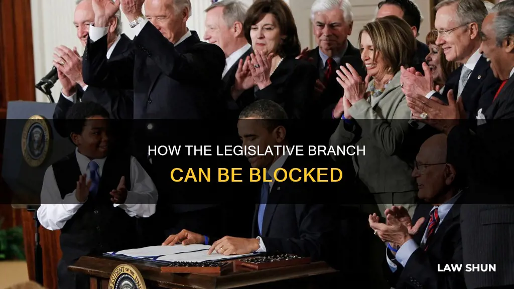 what can prevent the legislative branch from passing a law
