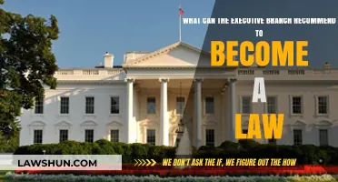 Executive Power: Suggestions that Shape Laws