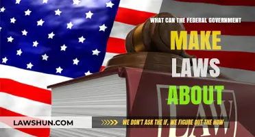 The Federal Government's Lawmaking Powers