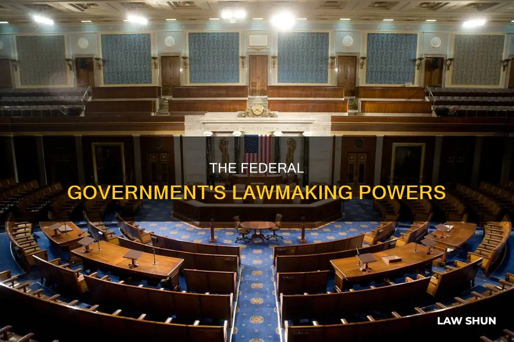 what can the federal government make laws about