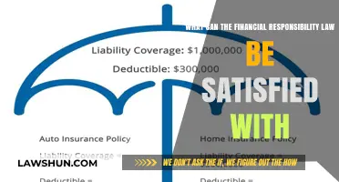 Financial Responsibility: What Meets the Law's Criteria?