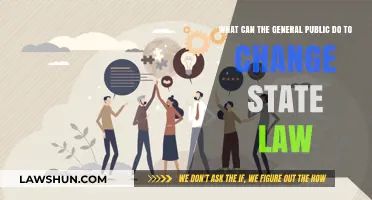 How to Effectively Change State Law